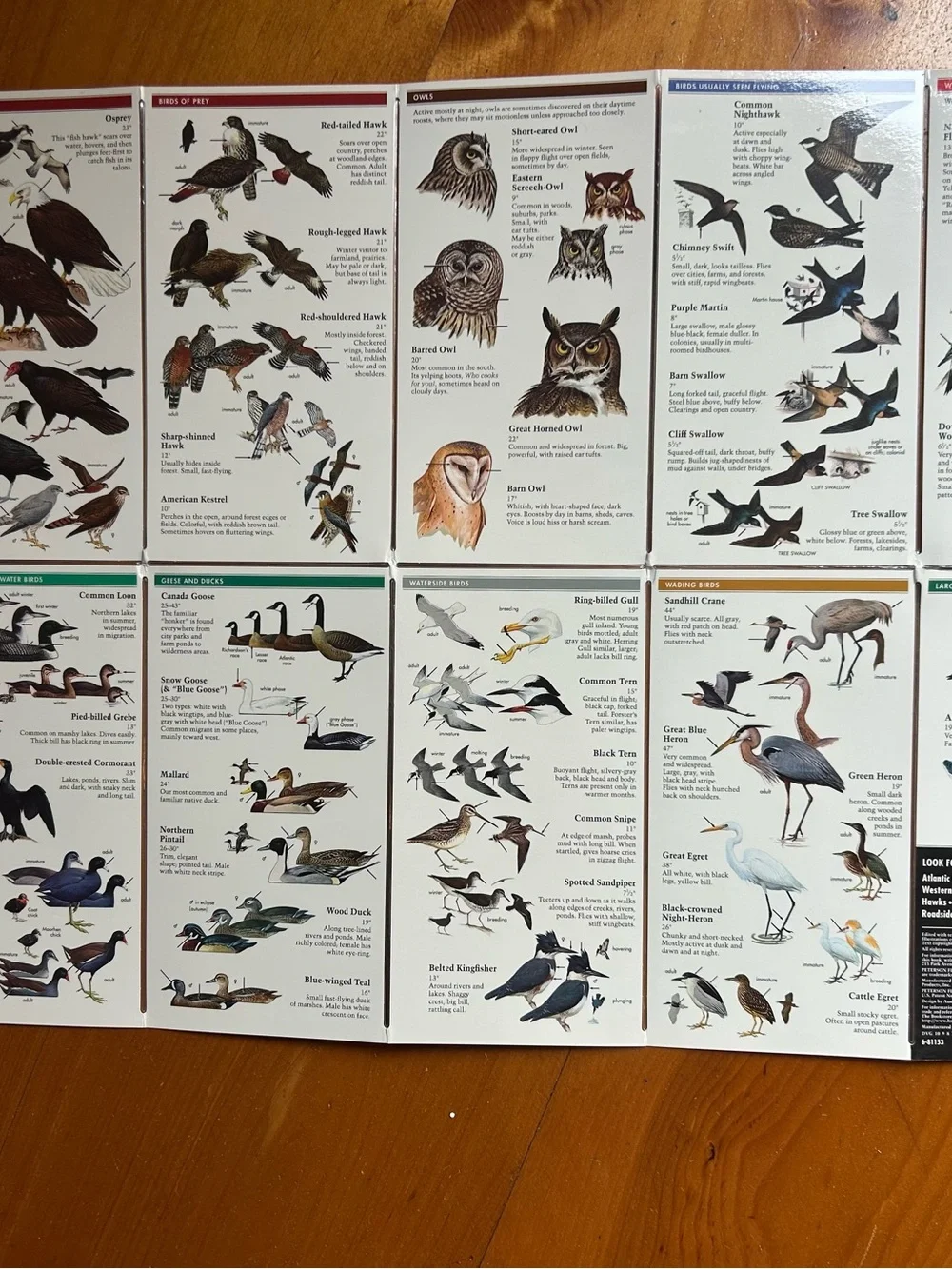 N/A birds midwest